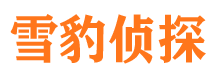 恭城寻人公司